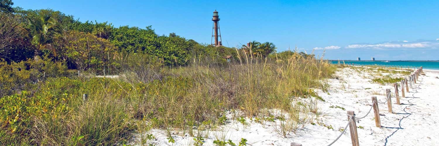 Banner image of Plantation